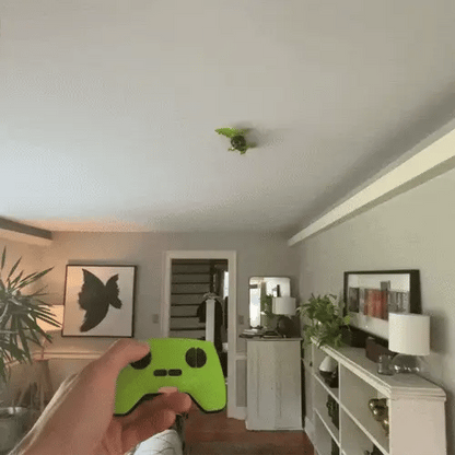 Wall Crawler Gecko Toy